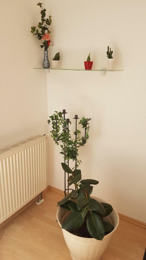 Evi'S Apartment Regensburg Eksteriør bilde
